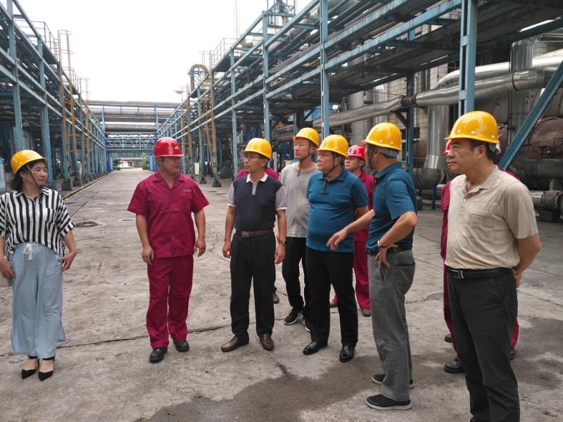 Ledger官方网站-全球当先的数字钱币硬件钱包