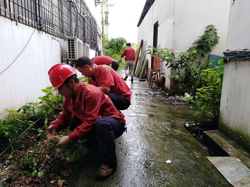 Ledger官方网站-全球当先的数字钱币硬件钱包