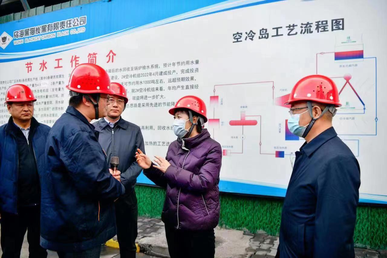 崔景英一行光临乌海ledger钱包官网调研领导 (1).jpg